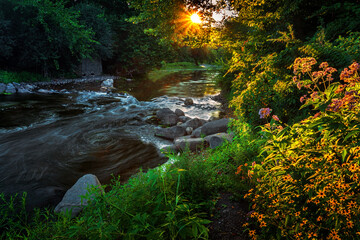 Sunburst breaking through a forest at dawn above a flowing river