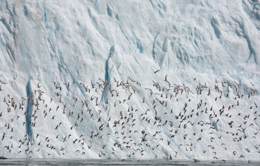 Glacier, Disko Bay, Greenland
