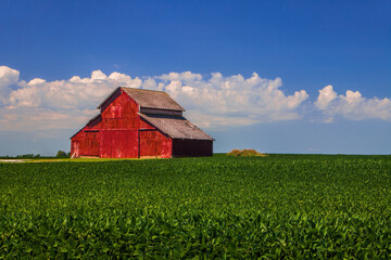 Red barn over a soy bean field © Andrew S.