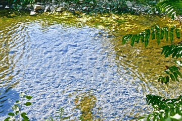 Transparent water of a shallow river framed by vegetation