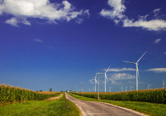 Fototapeta na wymiar Wind turbines on a corn field generating electricity