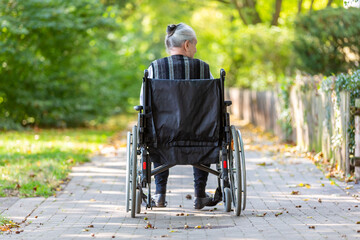 Obraz premium a young woman pushes an old lady in a wheelchair through a park