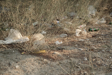 Garbage in dry grass. Garbage, pochette, plastic waste thrown on the ground in nature. Environmental problems.