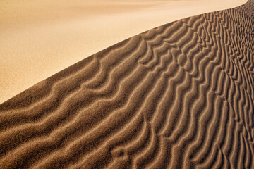 Desert