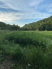 Obraz premium Minnesota Scenic Landscape in the Summer Time