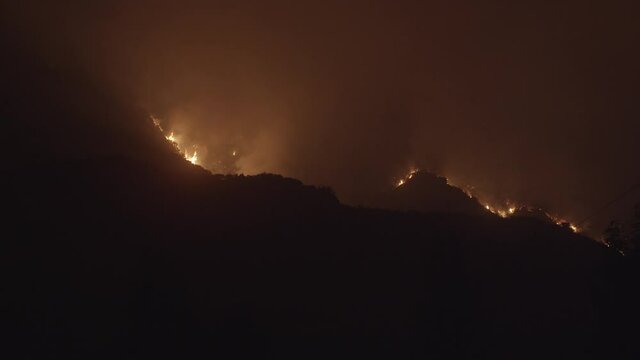 Bobcat Wildfire In Monrovia California