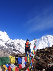 A mountain climber gaze across Talcho (Tibetan praying flags) at the snow-covered Himalayas in the...