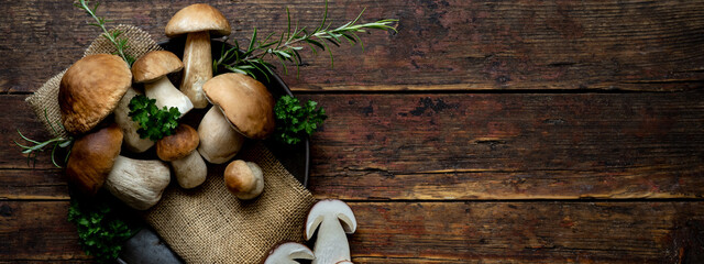 Fresh forest mushrooms /Boletus edulis (king bolete) / penny bun / cep / porcini / mushroom in an old bowl / plate and rosemary parsley herbs on the wooden dark brown table, top view background banner - obrazy, fototapety, plakaty
