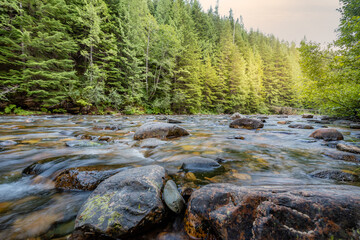 Mountain river in the forest at sunrise.
