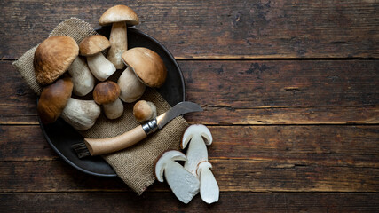 Fresh forest mushrooms /Boletus edulis (king bolete) / penny bun / cep / porcini / mushroom and...