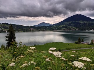 Romania, Bistrita,View at Colibita lake  ,2020