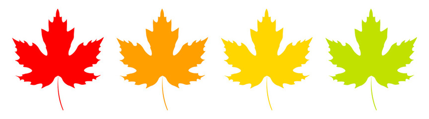 Maple leaf icons, graphic design template, vector illustration