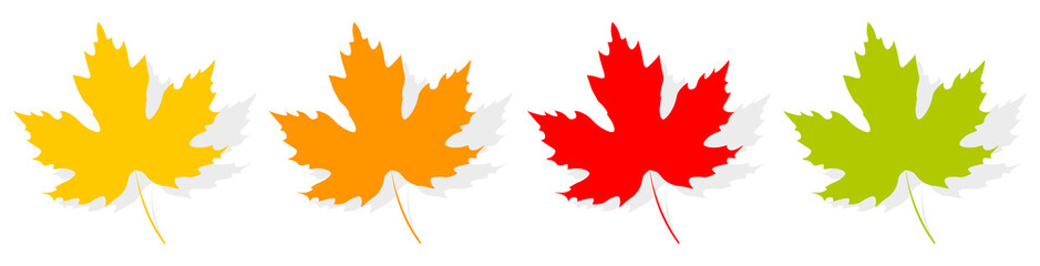 Maple leaf icons, graphic design template, vector illustration