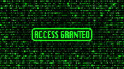 Green binary code background with "access granted" text.	
