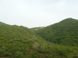 Obraz premium landscape in the morning