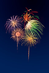 Colorful fireworks celebration and the midnight sky.