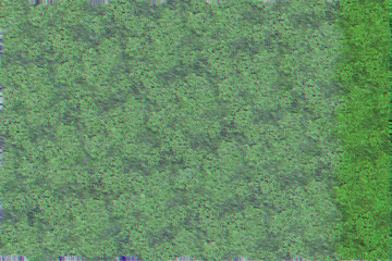 green glitch abstract pattern effect background wallpaper