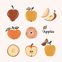 Apple Fruit Vector Set. Apples with Leaves and Apple Slices. Colorful Fruits. Healthy Summer Food Collection