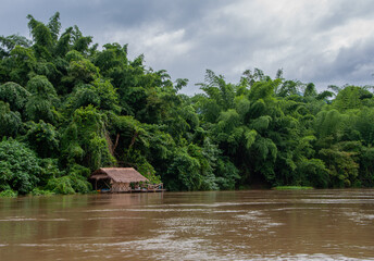 Elegant Thailand thatched roof floating home on the river surrounded by lush greenery.