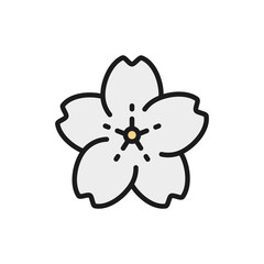 Vector sakura flower flat color line icon.