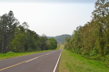 Ruta 17, San Pedro, Misiones, Argentina. Selva, Km 60.