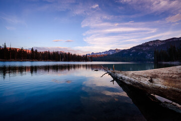 Log on the shore of Horseshoe lake in Mammoth mountains area