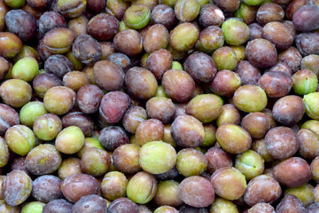 Just Plum Abstract 06