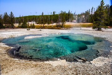 Crater hot spring in Norris bassin area