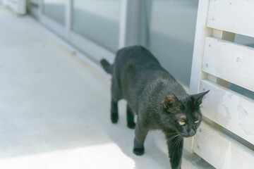 瀬長島 ウミカジテラス【沖縄】