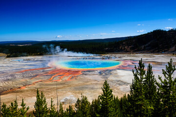 The Grand Prismatic spring as seen from observation point