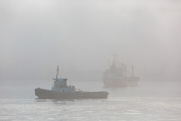 Vladivostok seaport. Various merchant ships stand on the roadstead in the Golden Horn Bay in...