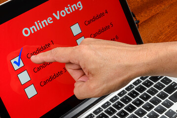 Person voting on the computer