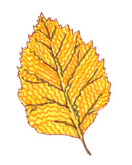 decorative ornamental autumnal yellow orange tree leaf on a white background