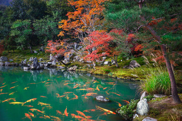 Autumn landscape