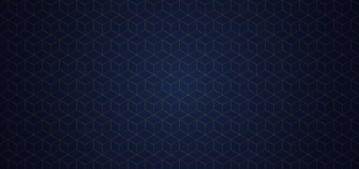 Luxury gold line pattern design dark blue color background