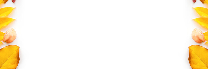 Web banner with yellow and red leaves on white background. Seasonal composition, fall, thanksgiving day, herbarium concept. mockup, template, overhead