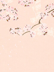 Cherry blossom background with the image of spring in Asia