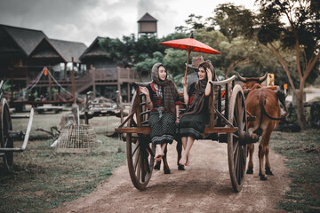 Fototapeta premium ox carts in Thailand. Farmer woman on ox cow cart.