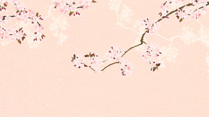 Cherry blossom background with the image of spring in Asia
