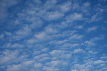 Puith cloud with clear blue sky