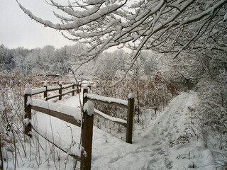Snow-Covered Wooden Railings Along a Path Through Woods
