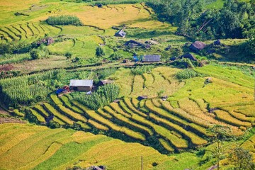 Fototapeta na wymiar Terrace rice field and mountain view, Sapa, Vietnam Vietnam landscapes.