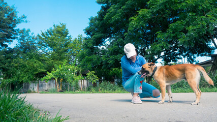 Beautiful woman walking cute dog in nature, Owner and dog walking on street