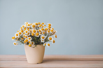 Bouquet of fresh chamomile flowers in vase on table against grey background