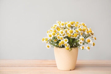 Bouquet of fresh chamomile flowers in vase on table against grey background