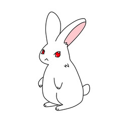 立っている白色のウサギ