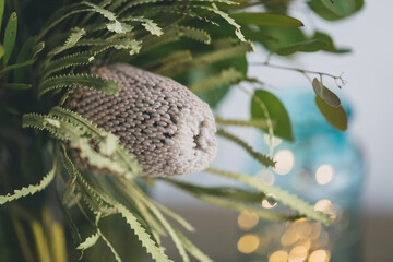 Old man banksia and Australian native flowers in a vase