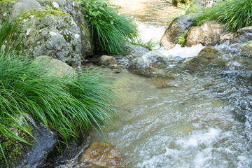 渓流（井山川）愛知県豊田市稲武地区