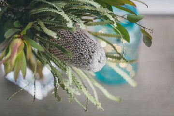 Old man banksia and Australian native flowers in a vase