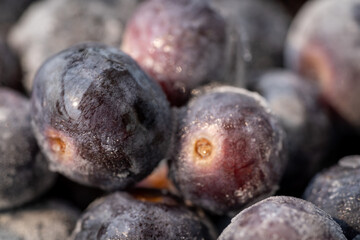 Blueberries from organic frozen cultivation and ready to be consumed